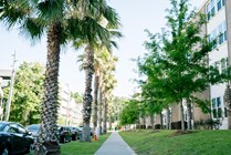Within walking distance to a pharmacy, bookstore, restaurants and of course Doak Campbell stadium